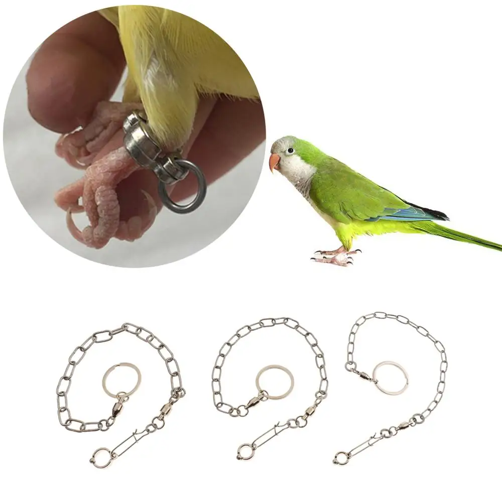

2 Pcs Pet Bird Leash Parrot Foot Chain Stainless Steel Anklet Ring 2020 New Parrot Foot Rings With Universal Wheel Do Not Knot