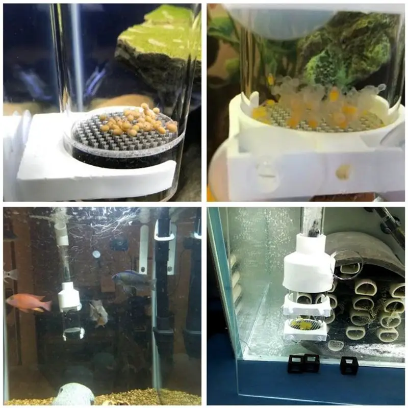 1 шт. аквариум цихлиды инкубатор с тумблером рыба инкубаторные яйца