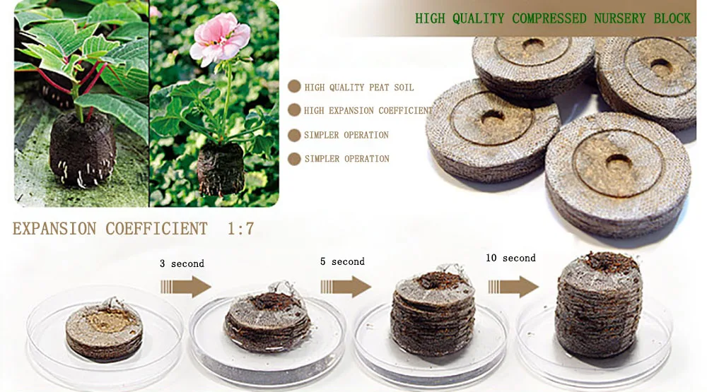 37e2ef05bfa1c5f1171cbd7b4f42fd7f