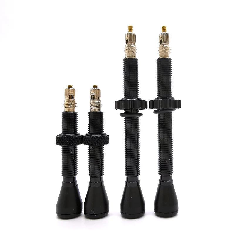 schrader tubeless valve