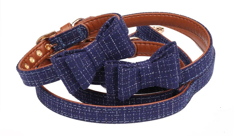 small dog leash