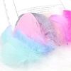 100 Pcs Natural Goose Feathers Plumes 8-12cm Colourful Swan Feather Plume for Home Decoration Craft DIY Jewelry Decoration ► Photo 3/6