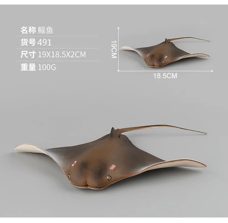 9170978569_920392923