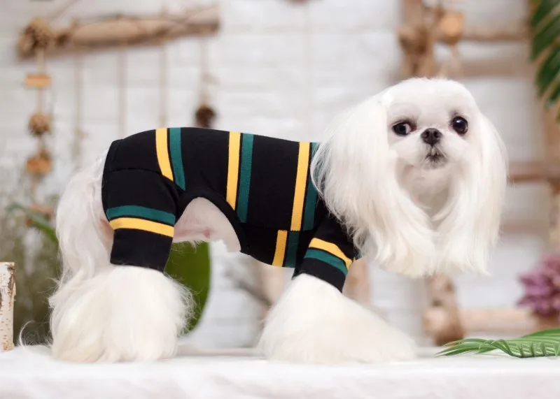 puppies hoodies dog clothes winter autumn wear (9)