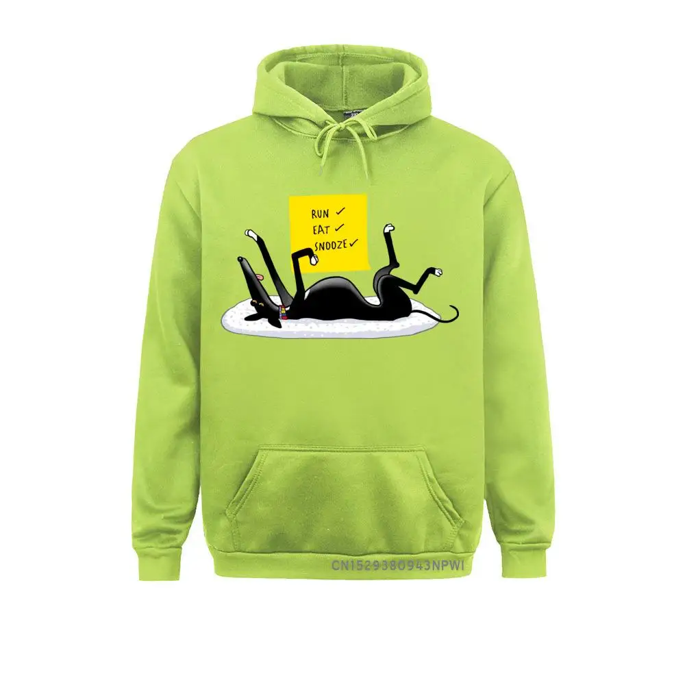 Classic Men Sweatshirts 03825 Normal Hoodies Long Sleeve Design Sportswears  Wholesale 03825 lightgreen