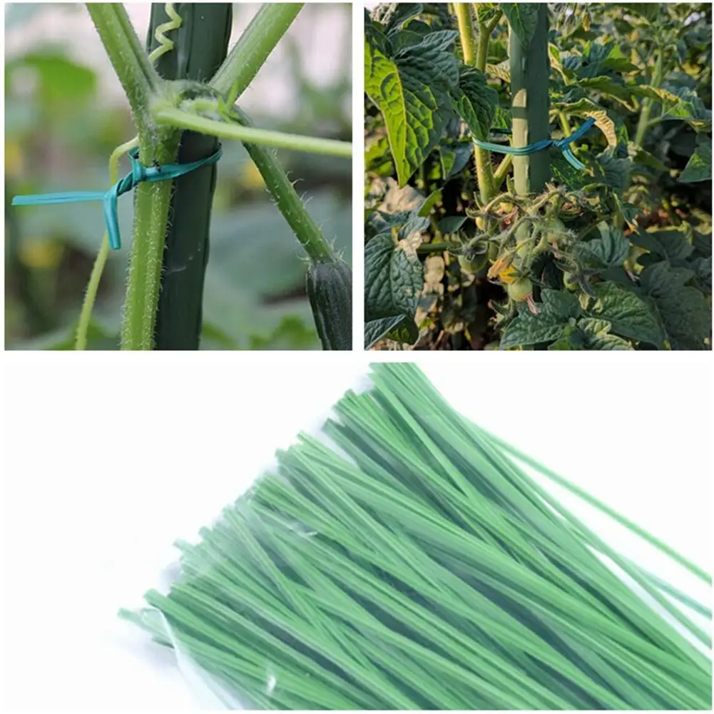 200 шт./упак. плетеная веревка для садовых растений фиксирующая