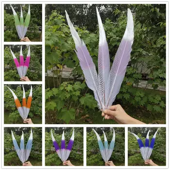 

Multicolor 100pcs Wholesale Beautiful Silver Pheasant Feathers 55-60cm/22-24inches Stage Performances Decoration