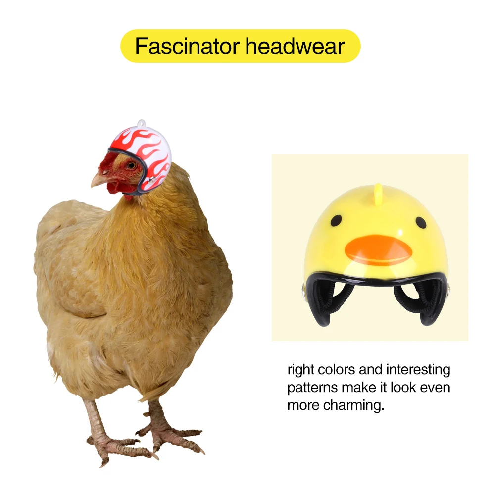 

2PCS Small Pet Helmet Chicken Helmet Bird Duck Quail Hat Protective Helmet Doll Toy Helmet Decoration Pet Supplies