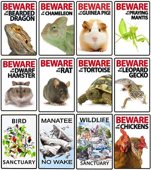 

Beware Of Chickens Rabbit Tortoise Farm Metal Tin Signs Plate Club Plaque classical Iron Painting Home Wall Stickers Retro Pub