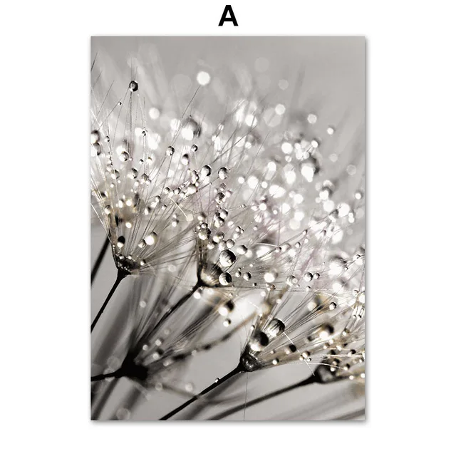 White Dandelion Peony Rose Flowers Canvas Painting Nordic Posters And Prints Wall Art Pictures For Living Room Home Decor A