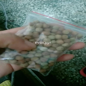 

Ngryise 200Pcs A Set Sugar snap peas