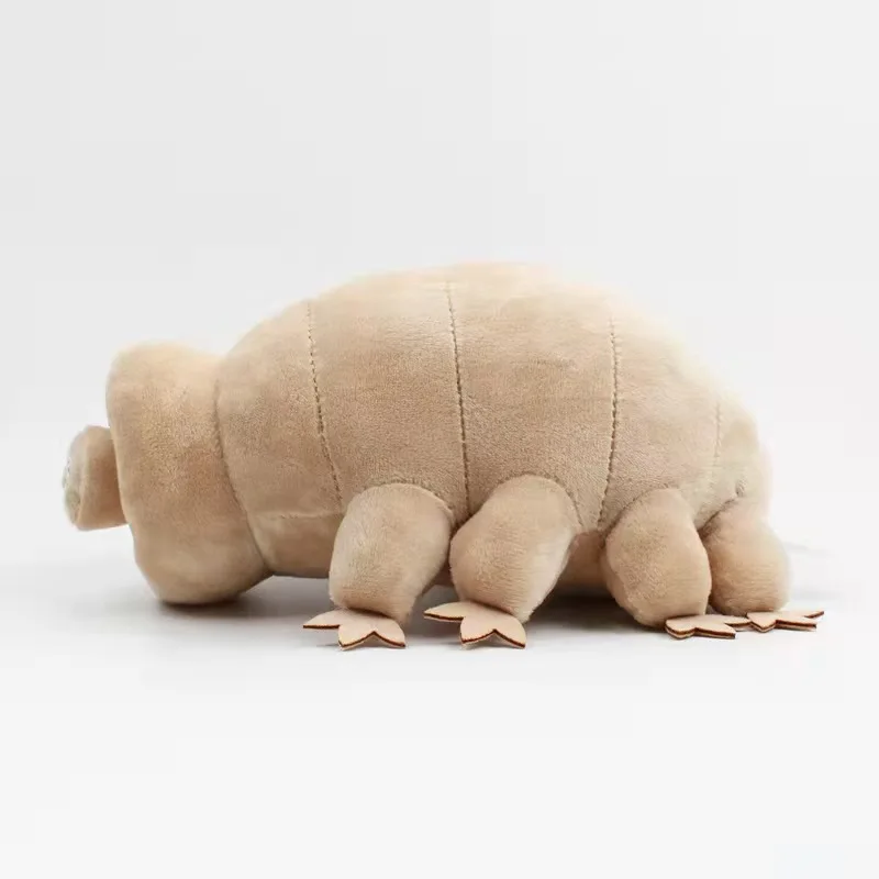 Ϳ   , ε巯 ,   ũ  , 25cm