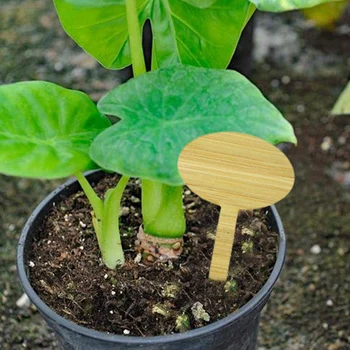 

NEW 50 Pack Bamboo Plant Label, Oval Plant Label Seed Potted Herb Flower Mark Flower Vegetable (6 X 10 Cm)