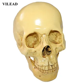 

VILEAD 19cm Animal Skull Ornament Resin Crafts Home Decoration Art Painting Movie Props Coffee Medical Statues Sculptures