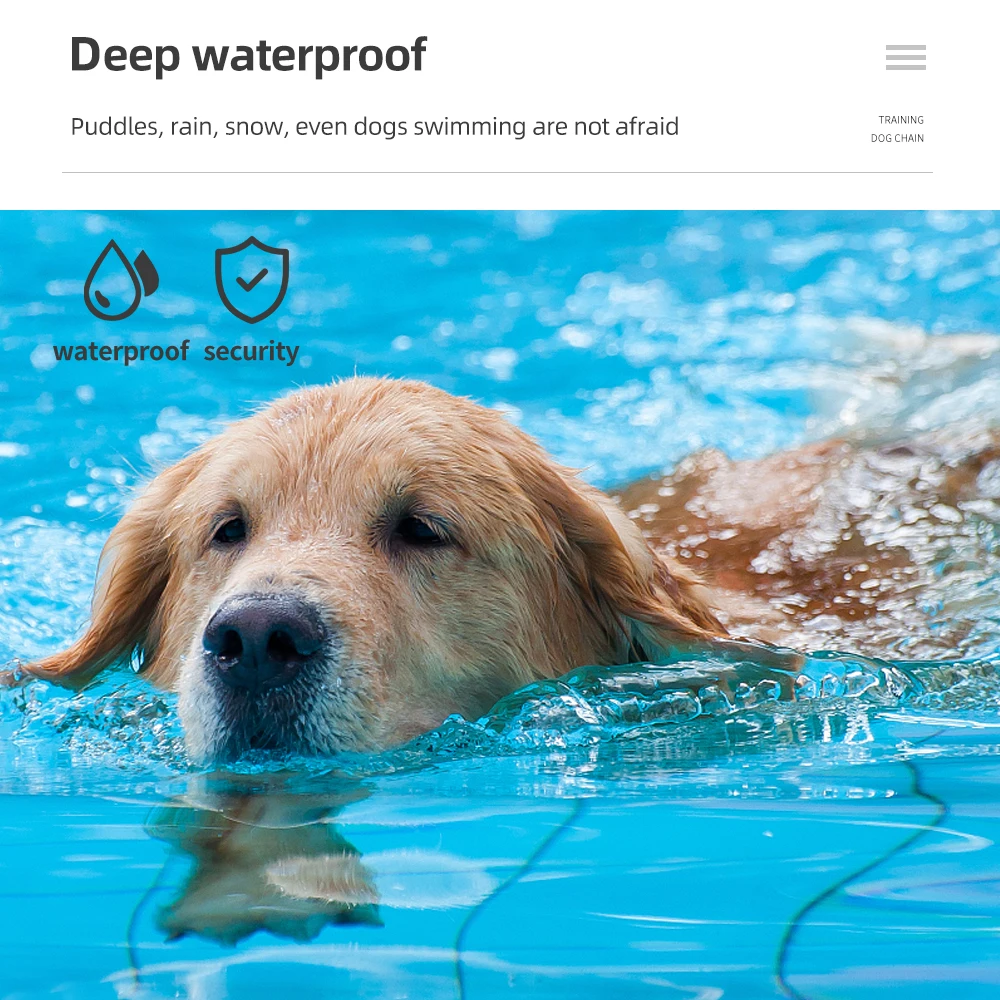 Can A Dog Shock Collar Get Wet