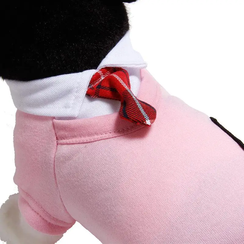 宠物用品新品上市 (34).jpg