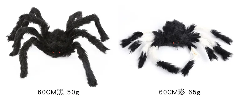 8684029855_2098354695