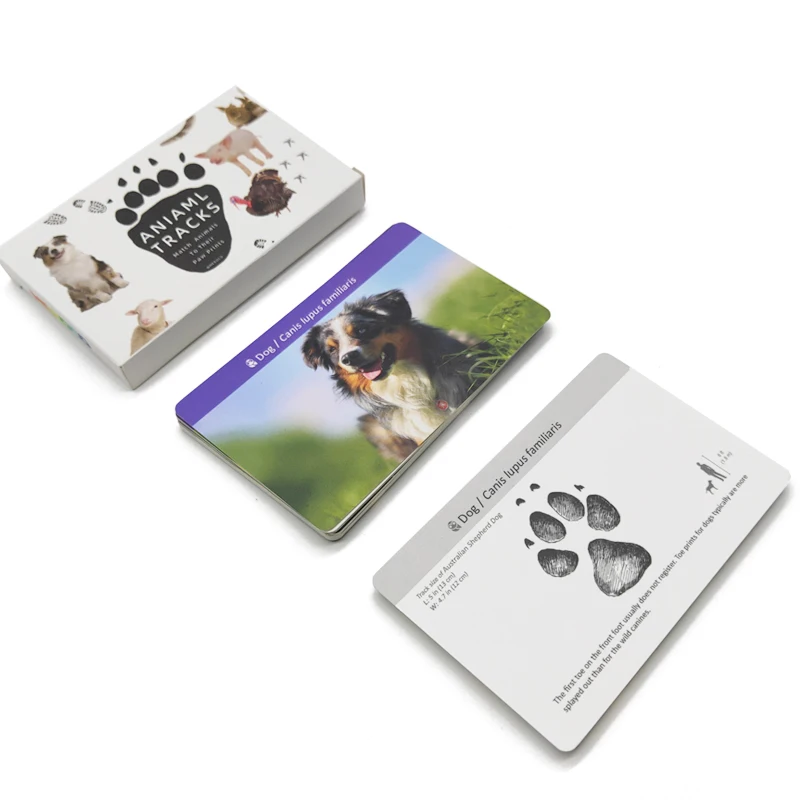 

Montessori Toys Baby Animal Footprint Learning Cards Learning Word Card Toddler Languag Learning Cards Matching Game Gift K2656Y
