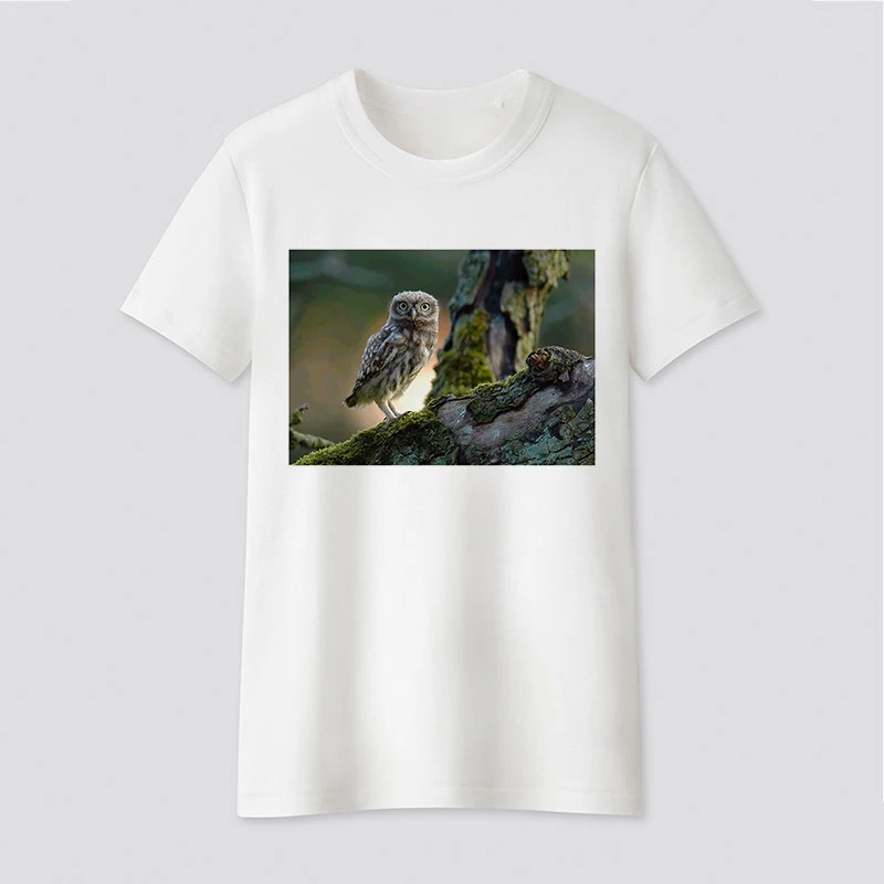 

Fashion Owl Print T Shirt Women Lovely Print Short Sleeved O-neck T-shirt Vintage Vogue Ullzang Tshirt Harajuku Tops