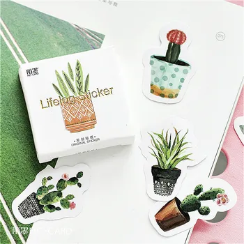 

2020 New Kawaii That Green Washi Tape Basic Color Paper Washi Tape Adhesive Tape Decorative Label Stationery Tapes