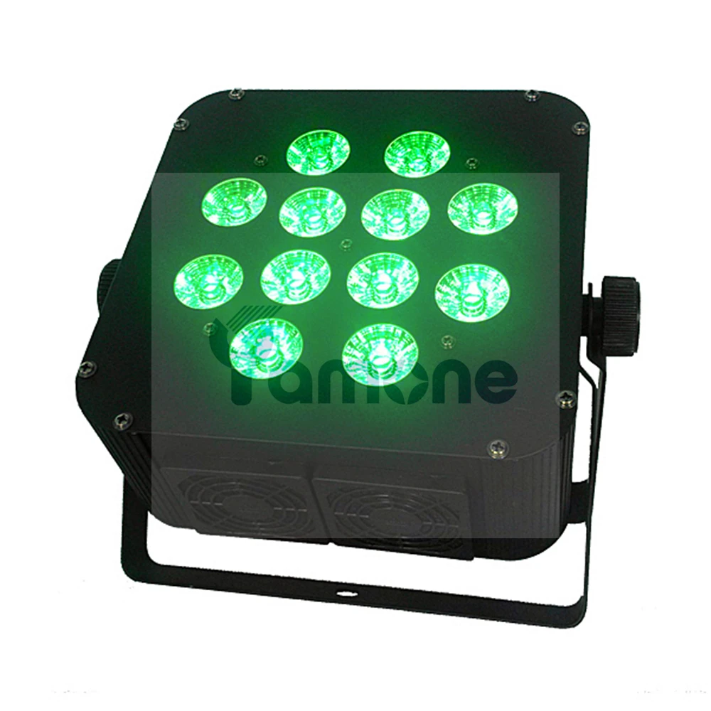12pcs Flat PAR 06