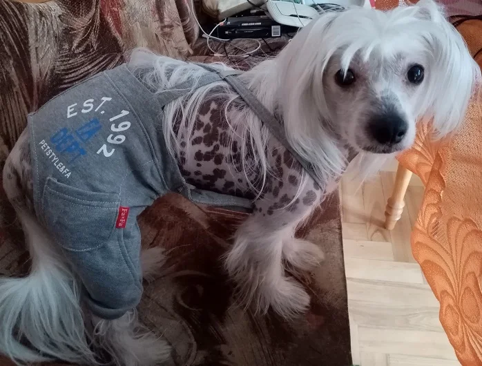 Ud94b42f8b0f44a26accc13b36edbada01