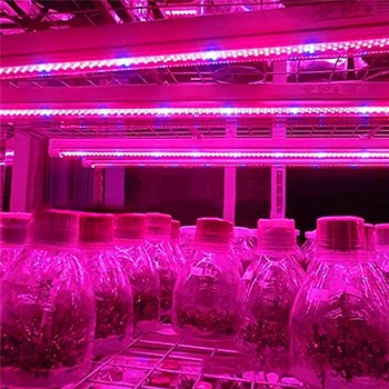 

Led Plant Grow Light 5050 LED Strip Plant Growth Light Set Greenhouse Grow DIY For LED Growth Seedlings Plants Lamp 12V 5m