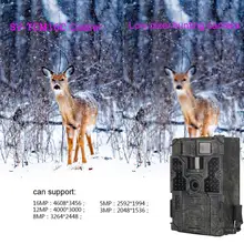 HobbyLane 1080P 120 градусов Инфракрасная камера безопасности с низким потреблением IP56 водонепроницаемая охотничья камера