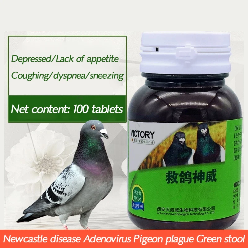 Pigeon Racing Pigeons Newcastle Disease Pigeon Plague Water Drop Green Drop Pigeon 100 Pieces