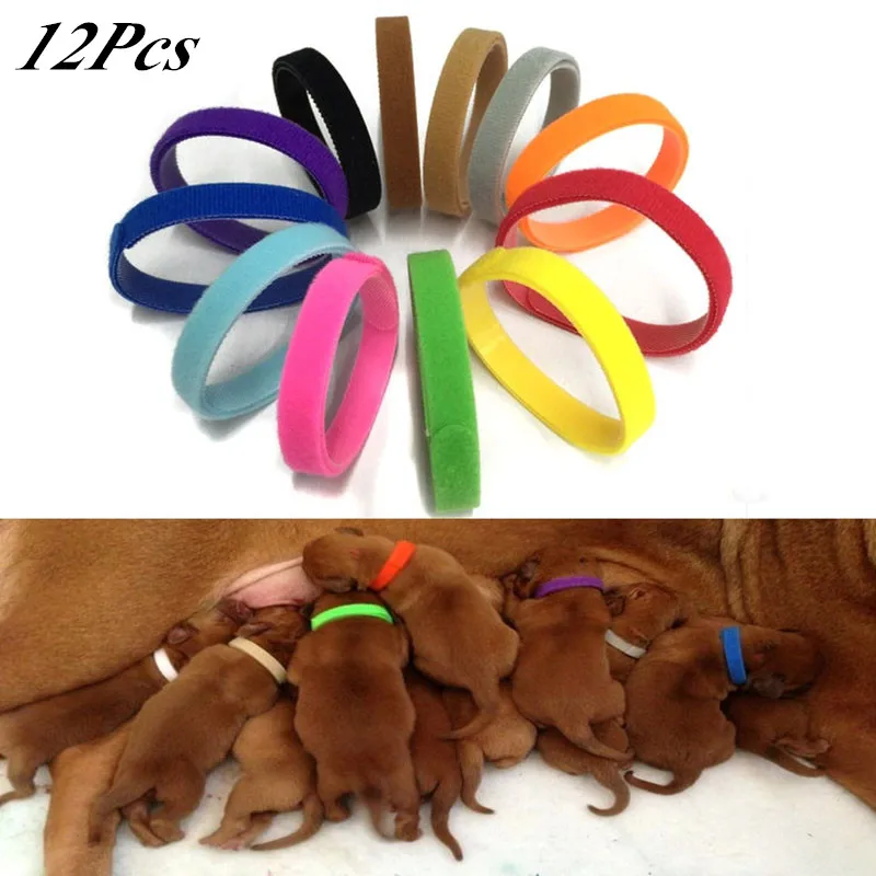 

12 Pcs/Set Puppy Newborn Pets Identify Collars Adjustable Nylon Small Pet Dog Collars Kitten Necklace Whelping Puppy Collars