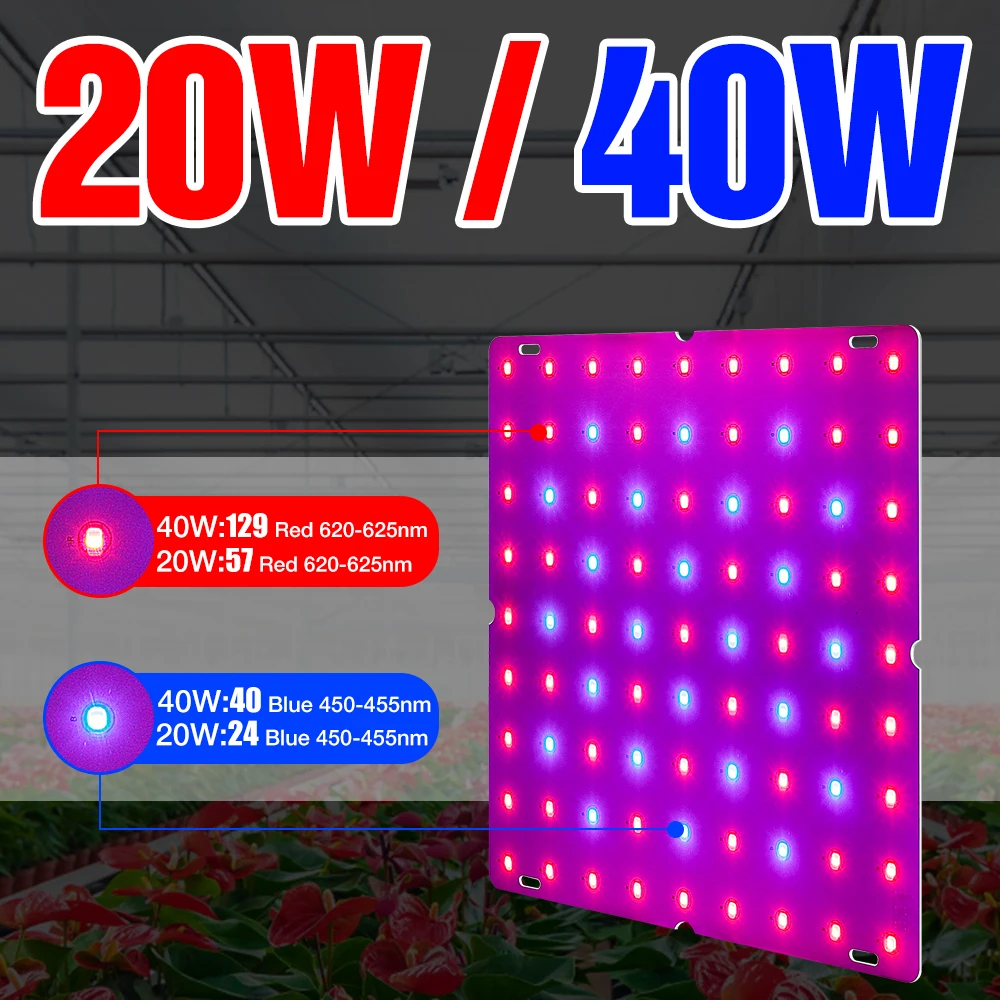 

EU US UK Plug Phyto Lamp LED Seeding Fito Light 20W 40W Full Spectrum Growth Lampara Led 220V Hydroponics Plants Seeds Flower