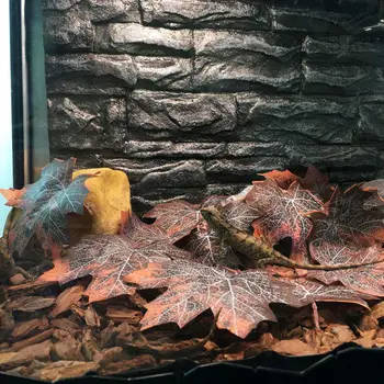 

12Pcs Reptile Tree Leaves Small Pet Landscaping Dead Leaves Home Lizard spider Hiding Cave Aquarium Decoration