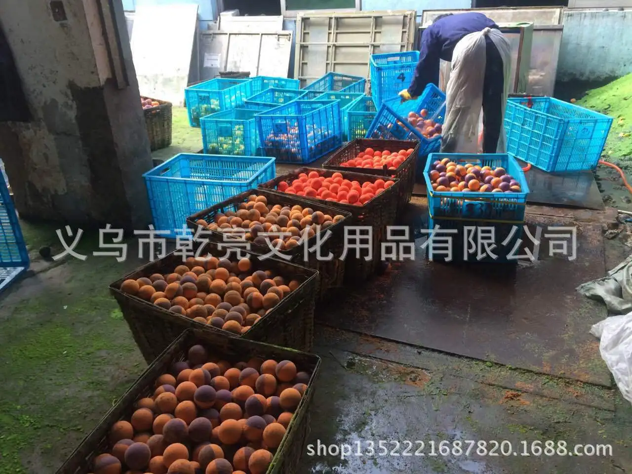 Производители оптовой продажи цветной двойной цвет ультра-стрейч полые резиновые шарики Диаметр 6. 0 см американский стиль Сквош льготный P