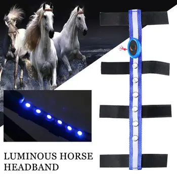 

LED Outdoor Horse Head Straps Horse Reins Tournament Polyester Blue Horseman Sports Equestrian Reins Durable