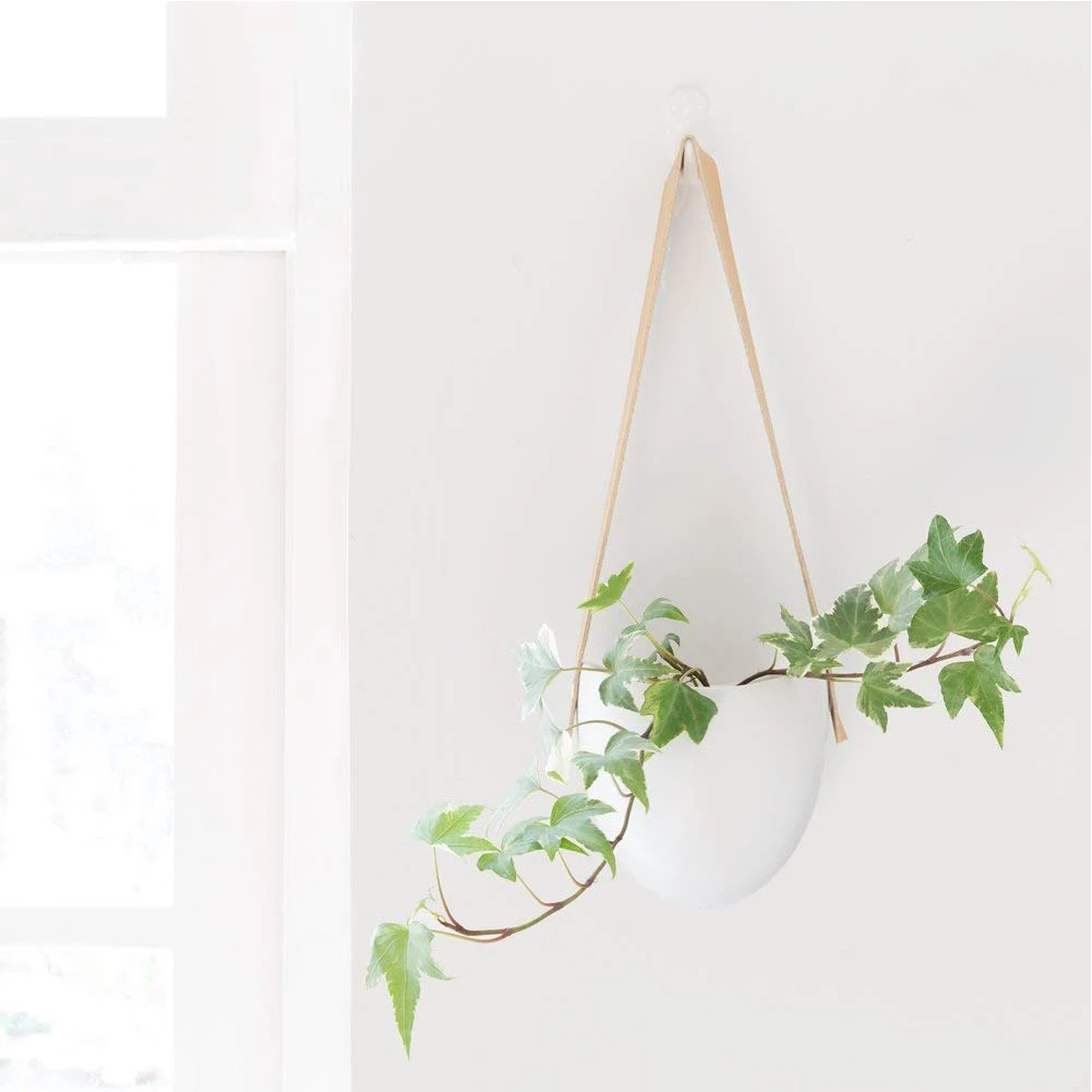3pcs Nordic Style Modern With Rope Decorative Holder Ceramic Hanging Planter Flower Pot Succulent White Wall Elegant Practical
