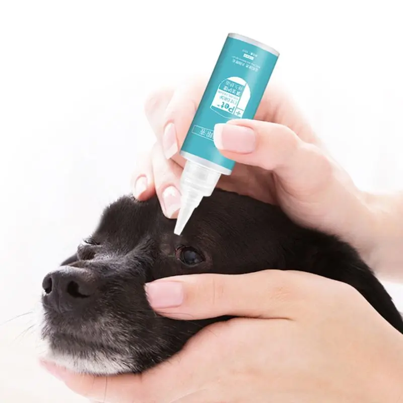 Maltese Eye Stain Cleaner at Alma Loya blog