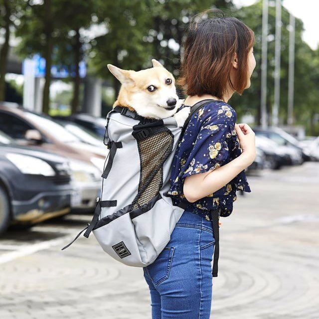 Pet Dog Carrier Bag Adjustable Breathable Dog Travel Bags for Large