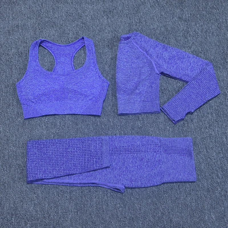 Women's Sportswear Yoga Set Vital Seamless Leggings+Sport Brassiere+Long Sleeve Crop Top 3PCS Sports Suits Gym Workout Clothing