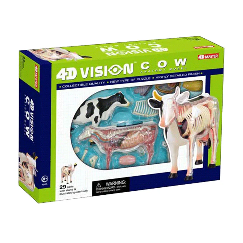 4D Cow Anatomy Model 1