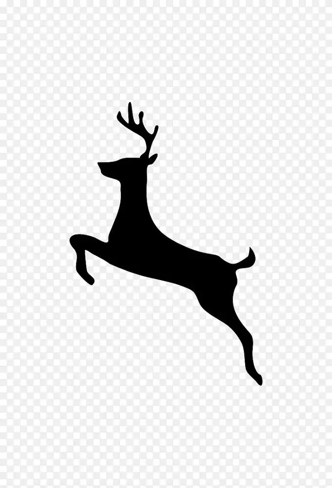 白尾鹿驼鹿夹艺术花鹿鹿角