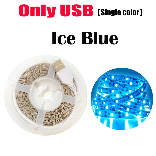Bluetooth Control RGB 5050 2835 LED Lights Strip USB 5V Flexible Lamp Tape Diode Festival Fita White Tira Luces TV PC Desk Luz Onlly USB Ice Blue