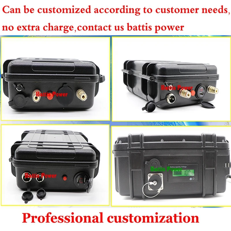 zzzProfessional customization - 副本