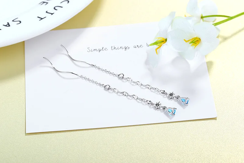 11597447256_1646359543