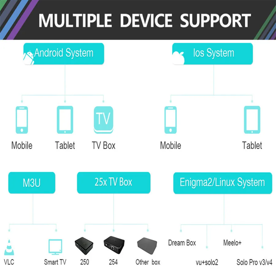 Лучшее мировое IPTV m3u подписка 1 год для Португалия Испания Франция Италия США голландский Ip tv m3u подписка для Smart tv Android Box