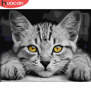 

HUACAN Diy Cat Painting By Number Drawing On Canvas HandPainted Painting Art Gift DIY Pictures By Number Animal Kits Home Decor