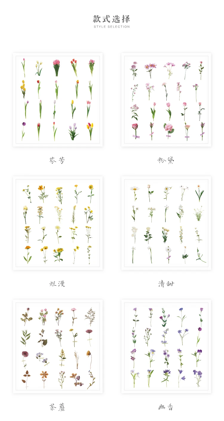 详情 (3)