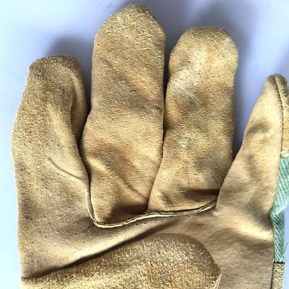 11044892263_1167062125