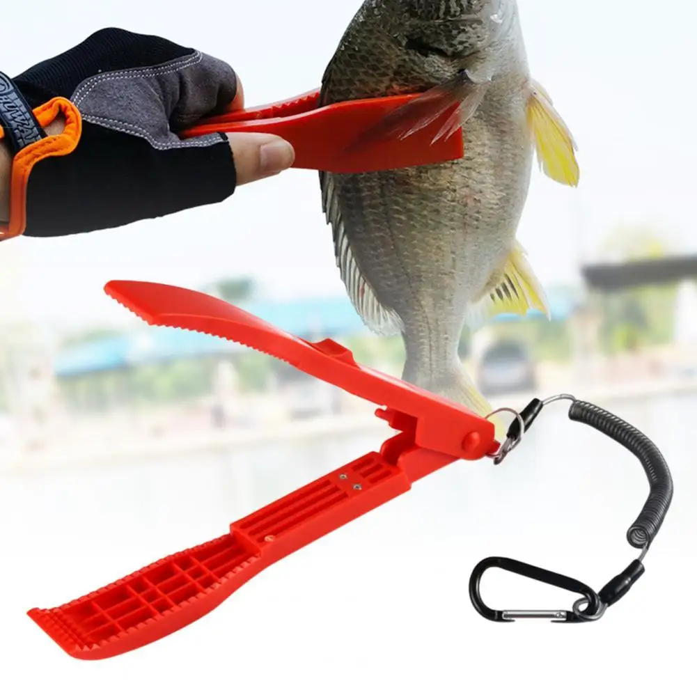 New Stainless Steel Prong Harpoon Fishing Fork Fish Spear K Sheath Holder  Gripper Fish Clamp Multifunctional Survival Tool - AliExpress