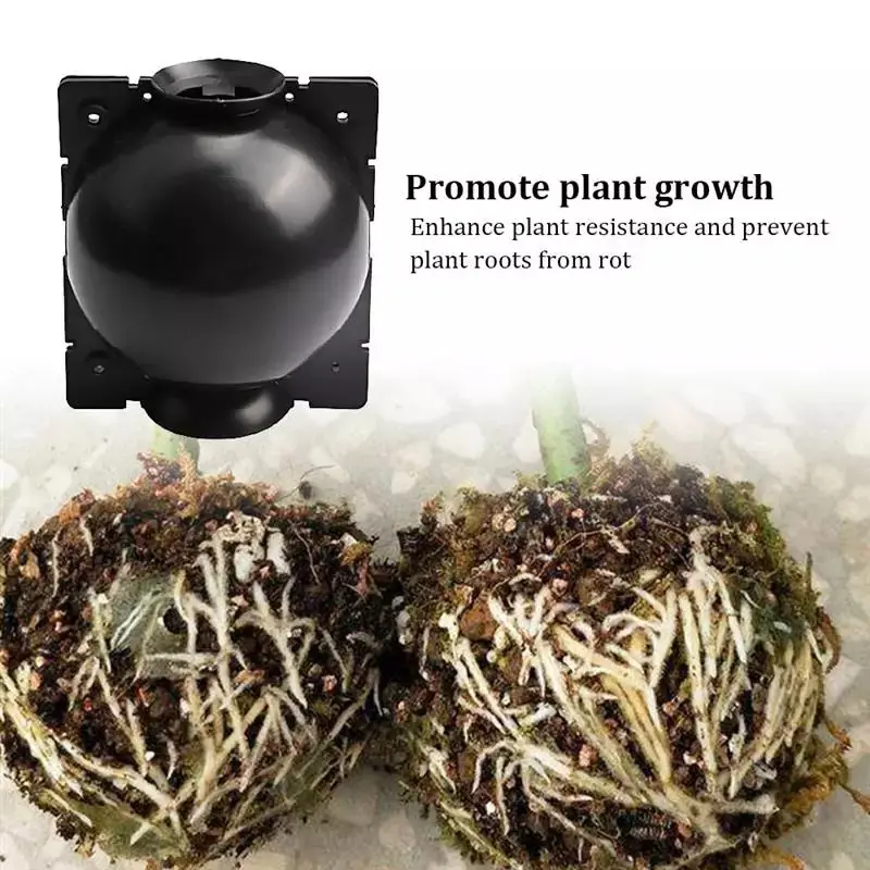 ceramic pots near me 10Pcs Reusable Plant Root Growing Box Cutting Grafting Rooting Box Garden Rooting Propagation Ball S Breeding Equipment best flowers for hanging baskets