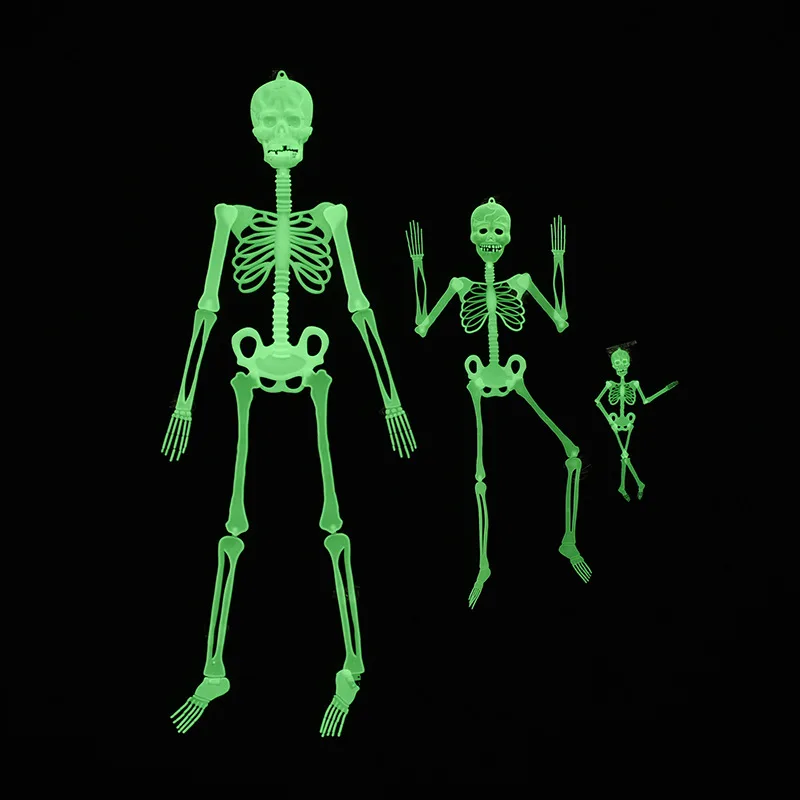 10685101453_1508233305